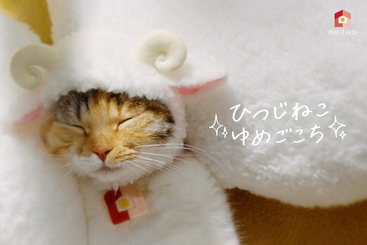 ゆめ猫様専用 （家族のように愛おしい！夢ねこプレミアム│セガトイズ）